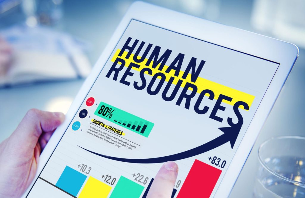 Human Resources - the backbone of company management 