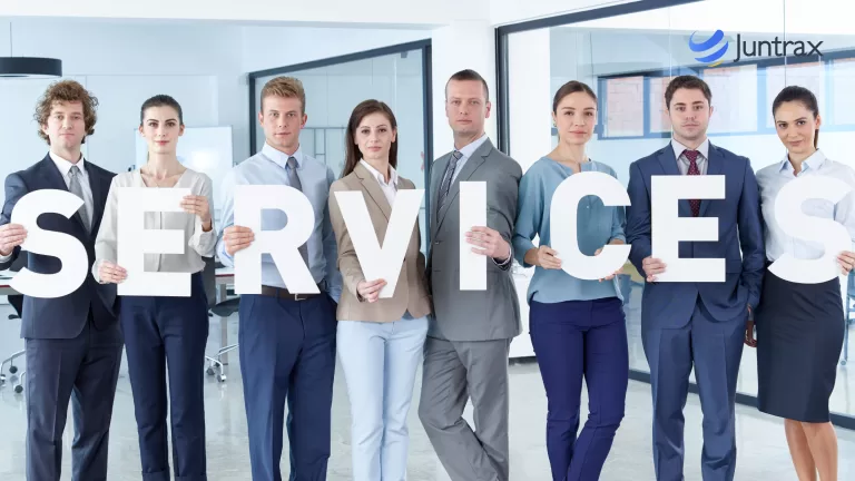 What are Professional Services