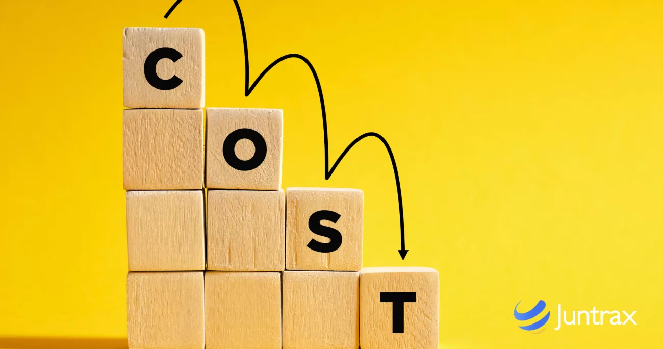 project cost management software